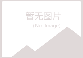 阳江江城冰夏木材有限公司